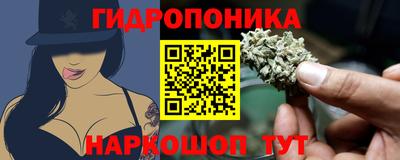 каннабис Новодвинск