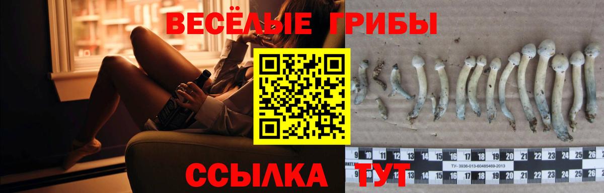 Галлюциногенные грибы GOLDEN TEACHER  Галлюциногенные грибы мухоморы  Псков  Вход с VPN 